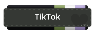 TikTok Panel from Genderqueer Pride Panel Theme.